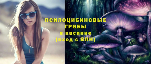 мдпв Лихославль