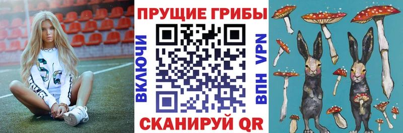 купить наркотики цена  Родники  Псилоцибиновые грибы мицелий 