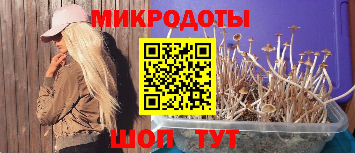 Галлюциногенные грибы GOLDEN TEACHER  Вход с VPN  Родники 